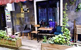 Galatagreenapplehotel